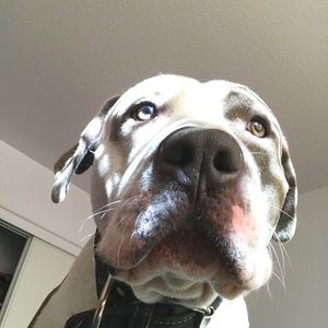 Meet your Posher, Edgar